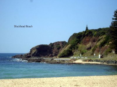 HALLIDAY'S HEIGHTS NEW LAND RELEASE!