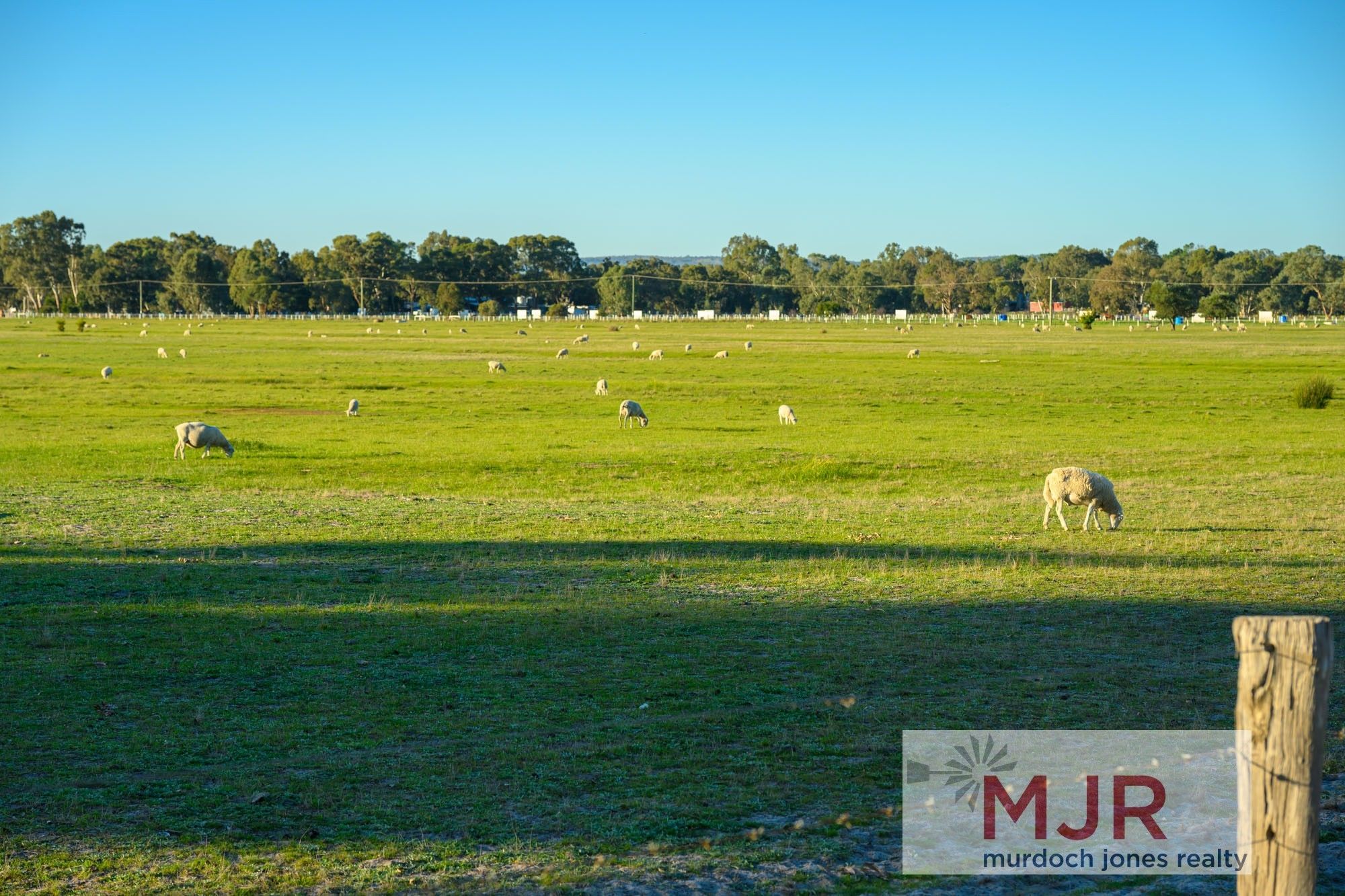 105 ACRES - SOLD