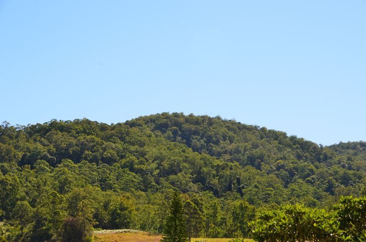 Property For Sale in Mount George