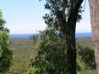 Property in Dirty Creek - Sold for $179,000