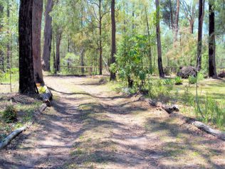 Property in Corindi Beach - $265,000
