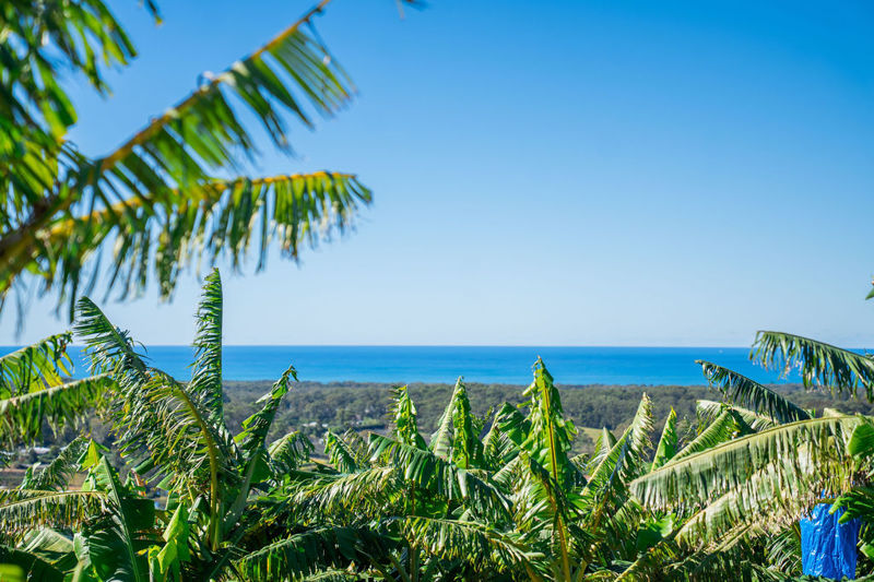COASTAL FARM OPPORTUNITY