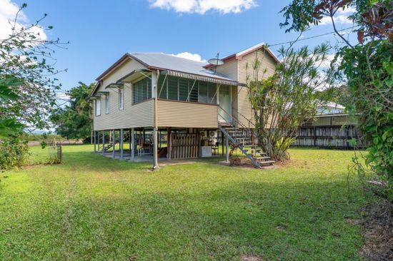 CHARACTER QUEENSLANDER