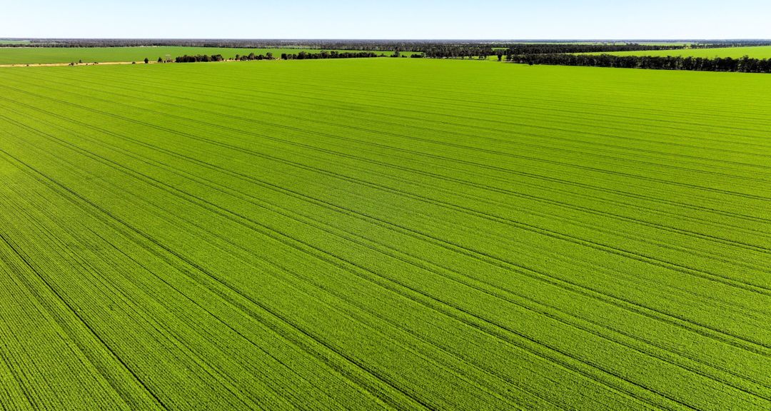 INSTITUTIONAL GRADE DRYLAND CROPPING AND GRAZING