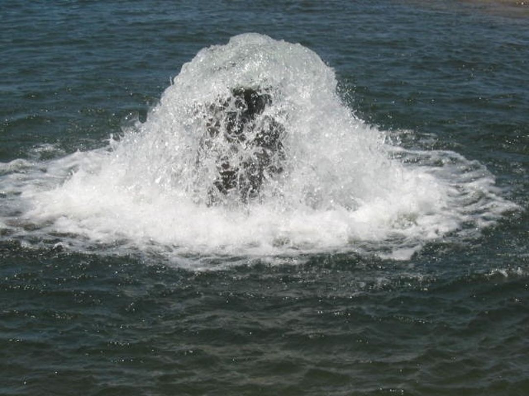 TEMPORARY LOWER GWYDIR BORE WATER