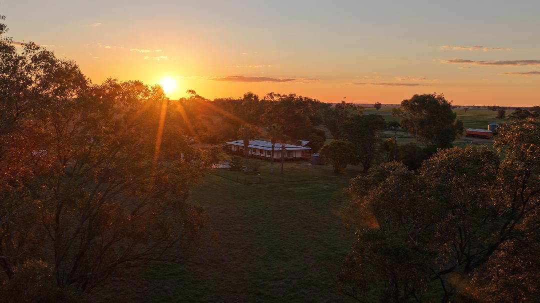 'JALLAROO' - A RARE OPPORTUNITY ON 55.67HA