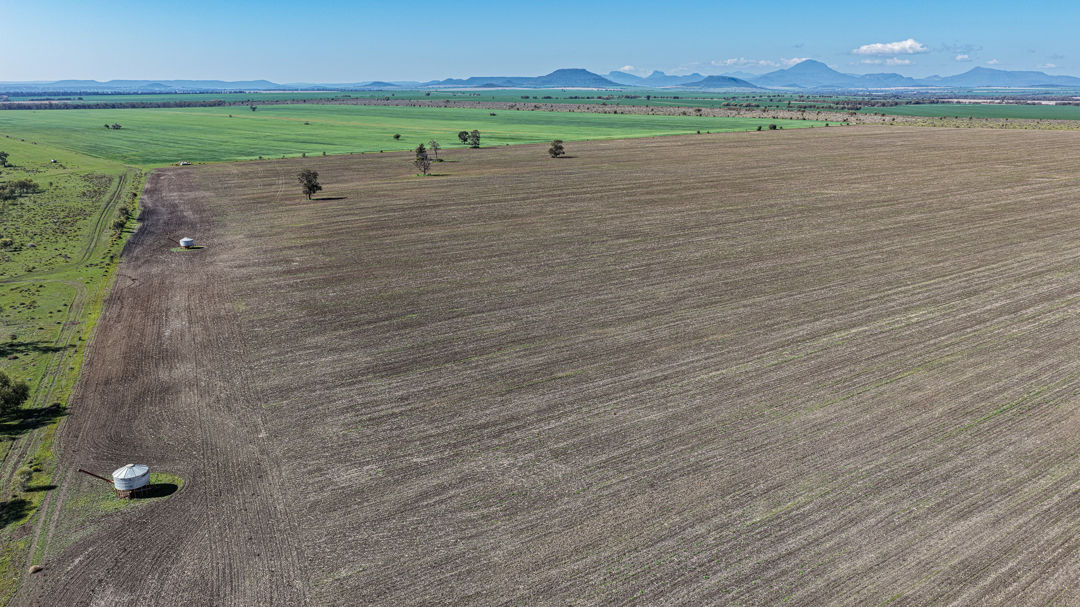 GURLEY DISTRICT CULTIVATION LEASE