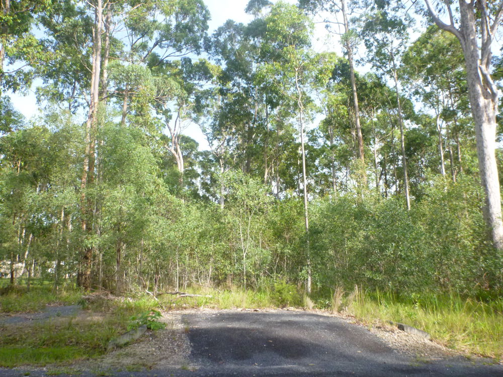Property For Sale in Woombah