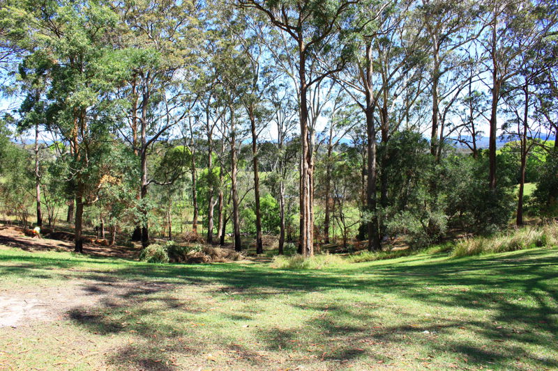 Property For Sale in Urunga