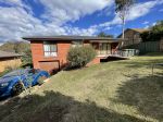 RENOVATORS DELIGHT