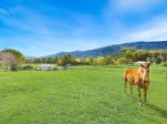 GENEROUS 1/2 ACRE WITH STUNNING VIEWS