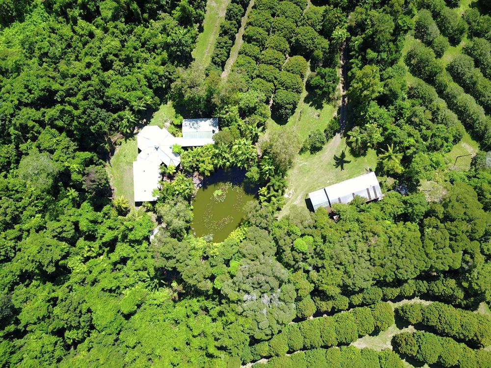 Property For Sale in Aloomba