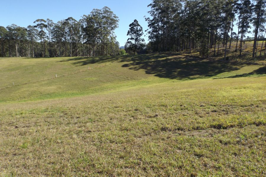 Property For Sale in Macksville