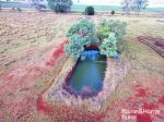 169 ACRES RED AND BLACK VOLCANIC SOIL