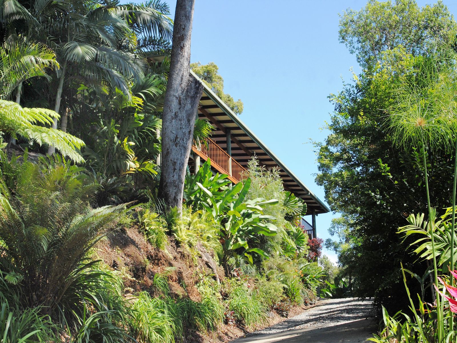 Stylish Port Douglas area house for sale