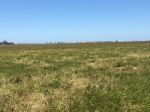 240 ACRES OF DRYLAND GRAZING COUNTRY WITH PATHO CREEK FRONTAGE