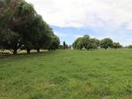 BOUTIQUE DAIRY FARM WITH SPACIOUS FAMILY HOMESTEAD