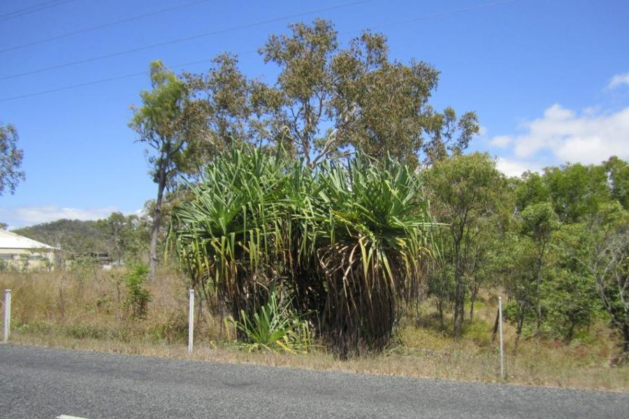 Property Sold in Midge Point