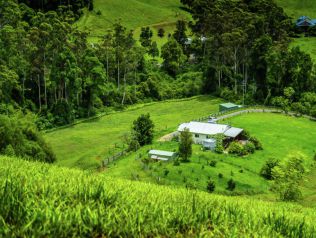 Small farm sale