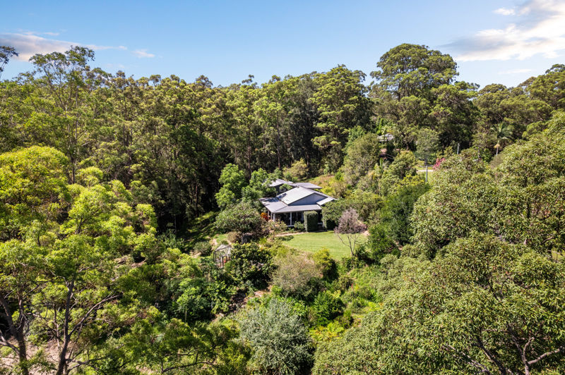 THE ESSENCE OF BELLINGEN