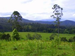 Property in Bellingen - $1.9 million