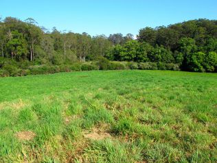 Property in Fernmount - $420,000