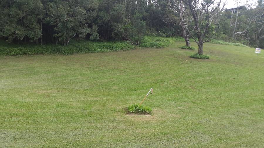 Property For Sale in Eungella