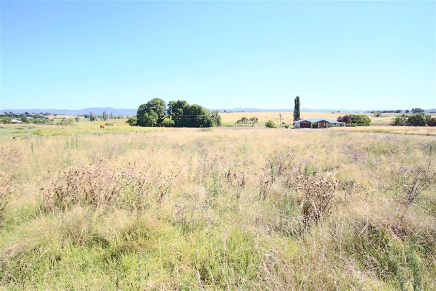 Property For Sale in Tenterfield