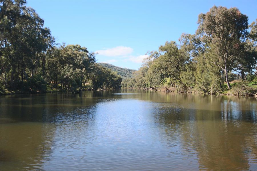 Property For Sale in Tenterfield