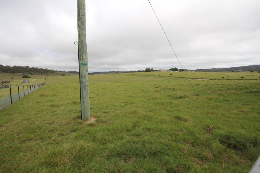 Property For Sale in Tenterfield