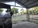 5 ACRES, A HUGE SHED, A POOL&HELLIP; AND YES, EVEN THE COW & CHICKENS STAY!