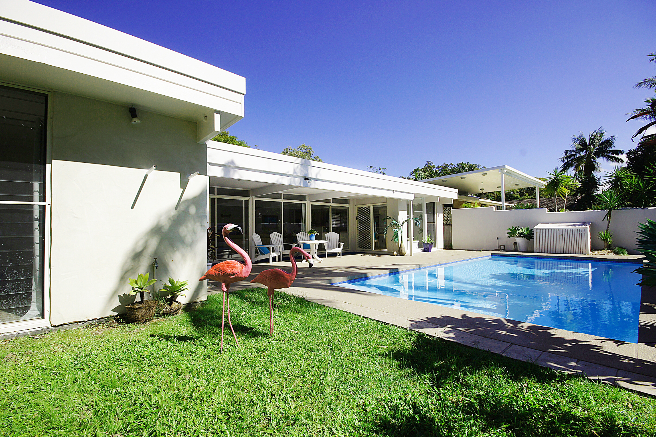 19 Norman Hill Dr, Korora - pool