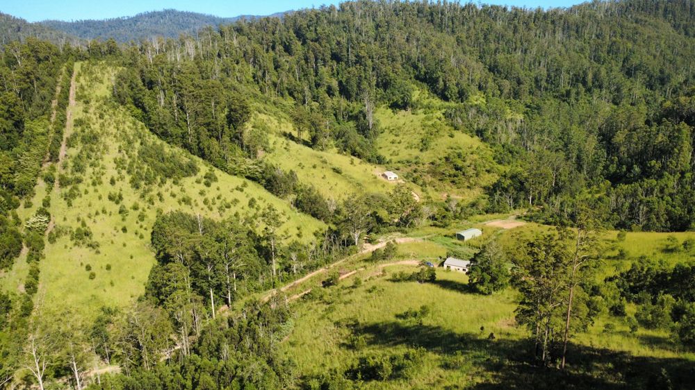 330 ACRES, 3 LARGE SHEDS, CREEKS & SPRING FED GULLIES