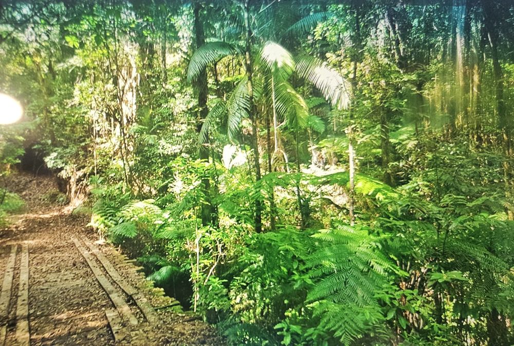 100 ACRES OF BUSHLAND & RAINFOREST - PERMANENT WATER