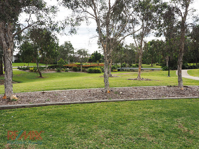 Pest control in Warner