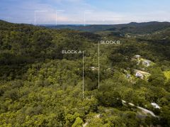 WATCH THE DREAM UNFOLD IN THIS HINTERLAND PARADISE