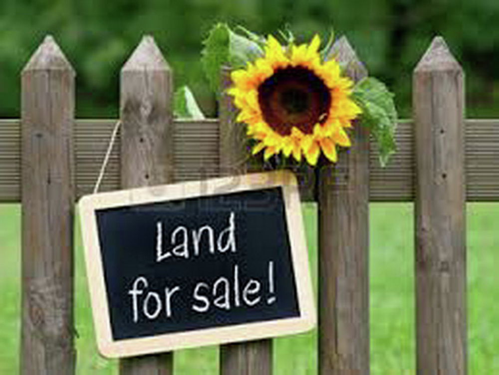 Property Sold in Manly West