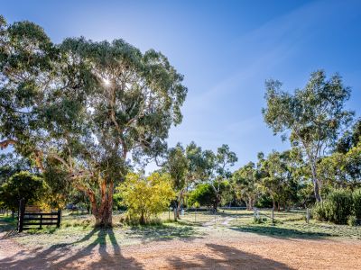 BEAUTIFUL OUTLOOK OVER NARACOORTE