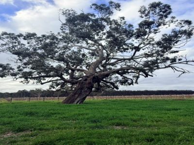 A RARE LIFESTYLE OPPORTUNITY ON 10 HECTARES (24.7 ACRES)