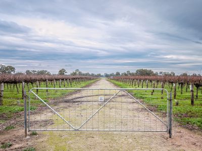 BELLAIRS VINEYARD WEST - V & A LANE, COONAWARRA