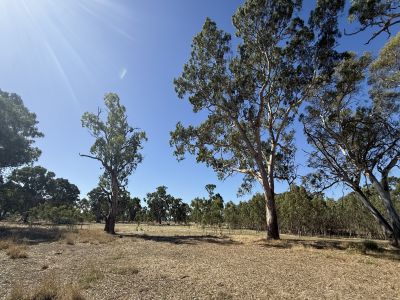 $400,000 - SHED, CATTLE YARDS, BIG GUMS & GREAT LIFESTYLE