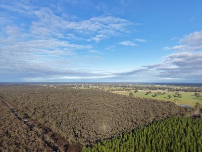 NATURE & LIFESTYLE OPPORTUNITY
