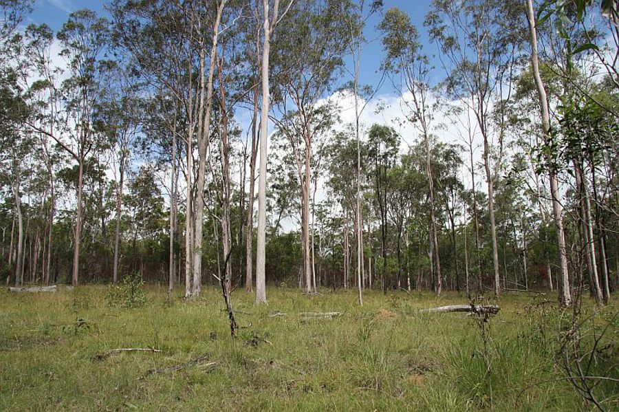 Property For Sale in Glenbar