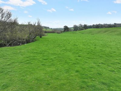 PRODUCTIVE OTWAY DISTRICT GRAZING / FODDER PRODUCTION LAND