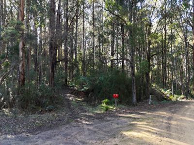 WHERE FAMILIES UNPLUG AND WILDLIFE ROAMS FREE