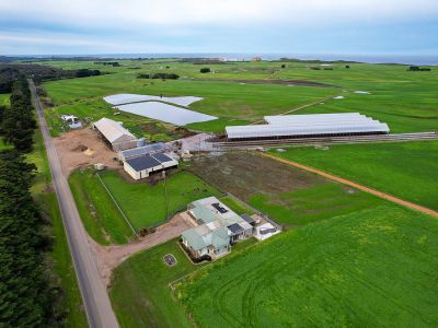 BLUE RIBBON DAIRY FARM &NDASH; OUTSTANDING INFRASTRUCTURE &NDASH; ICONIC LOCATION