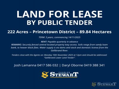 RELIABLE PRODUCTIVE PRINCETOWN AREA