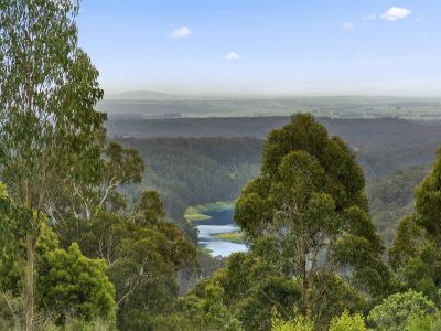 BARRAMUNGA SUPERFOODS &NDASH; WHERE EARTH MEETS THE SKY