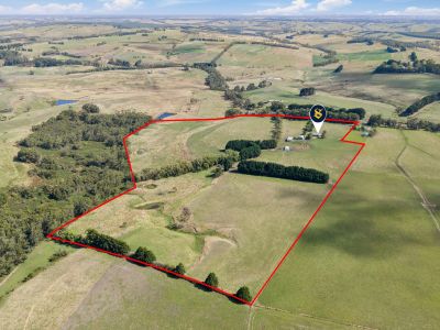 IMMACULATE QUALITY SIMPSON PROPERTY