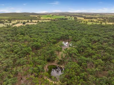 THE ULTIMATE BUSH RETREAT